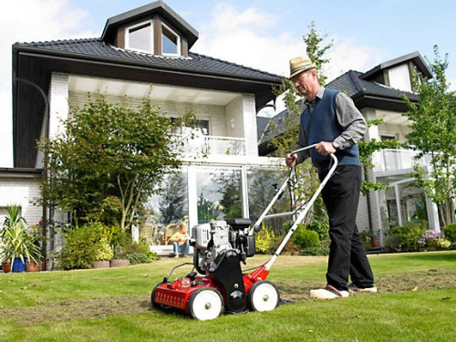 Useful lawn and garden equipment - check out what to hire