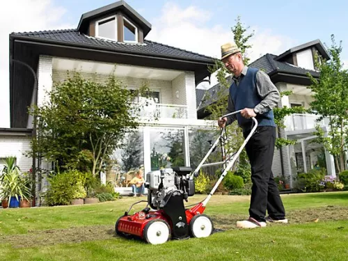 Article - Useful lawn and garden equipment - check out what to hire