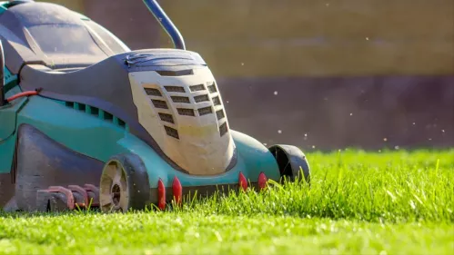 Article - How does a scarifier work and what is it used for?